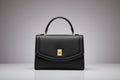 LADIES BAG 12443  T 223