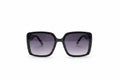 REX SUNGLASSES 14221