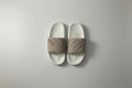 WATER FISH LADIES SLIPPERS ZYMJ-8085
